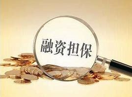 融资担保的类型与方式