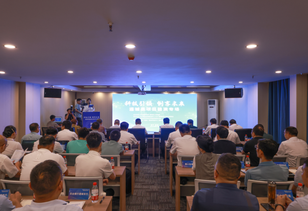 智汇通城 筑巢引凤绘就发展新蓝图